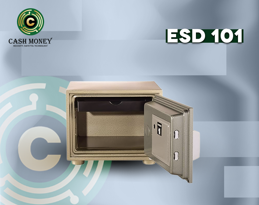 ESD 101 1