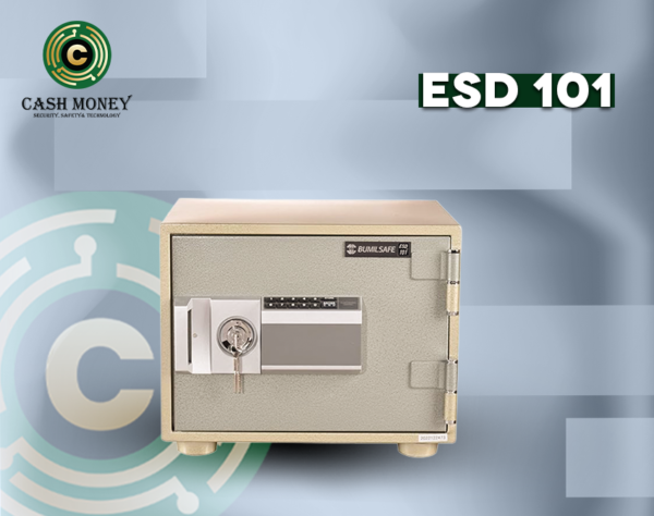ESD 101 2