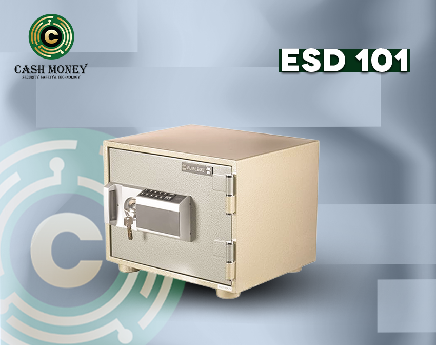 ESD 101 3