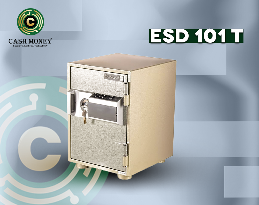 ESD 101 T 2